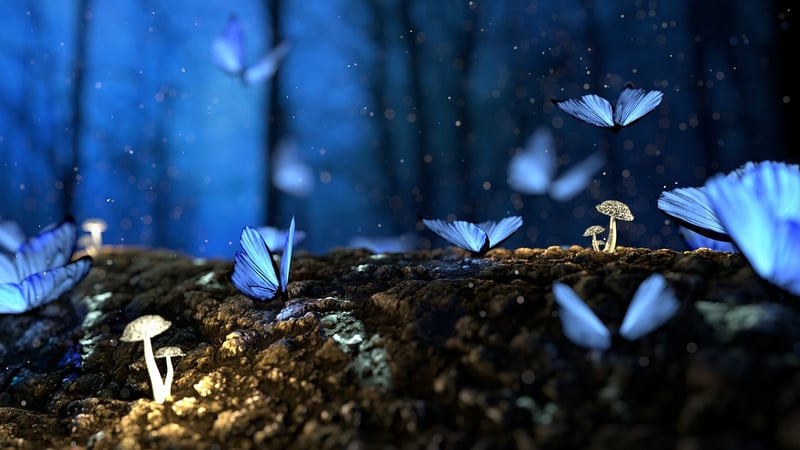 Enchanted Forest Lighting